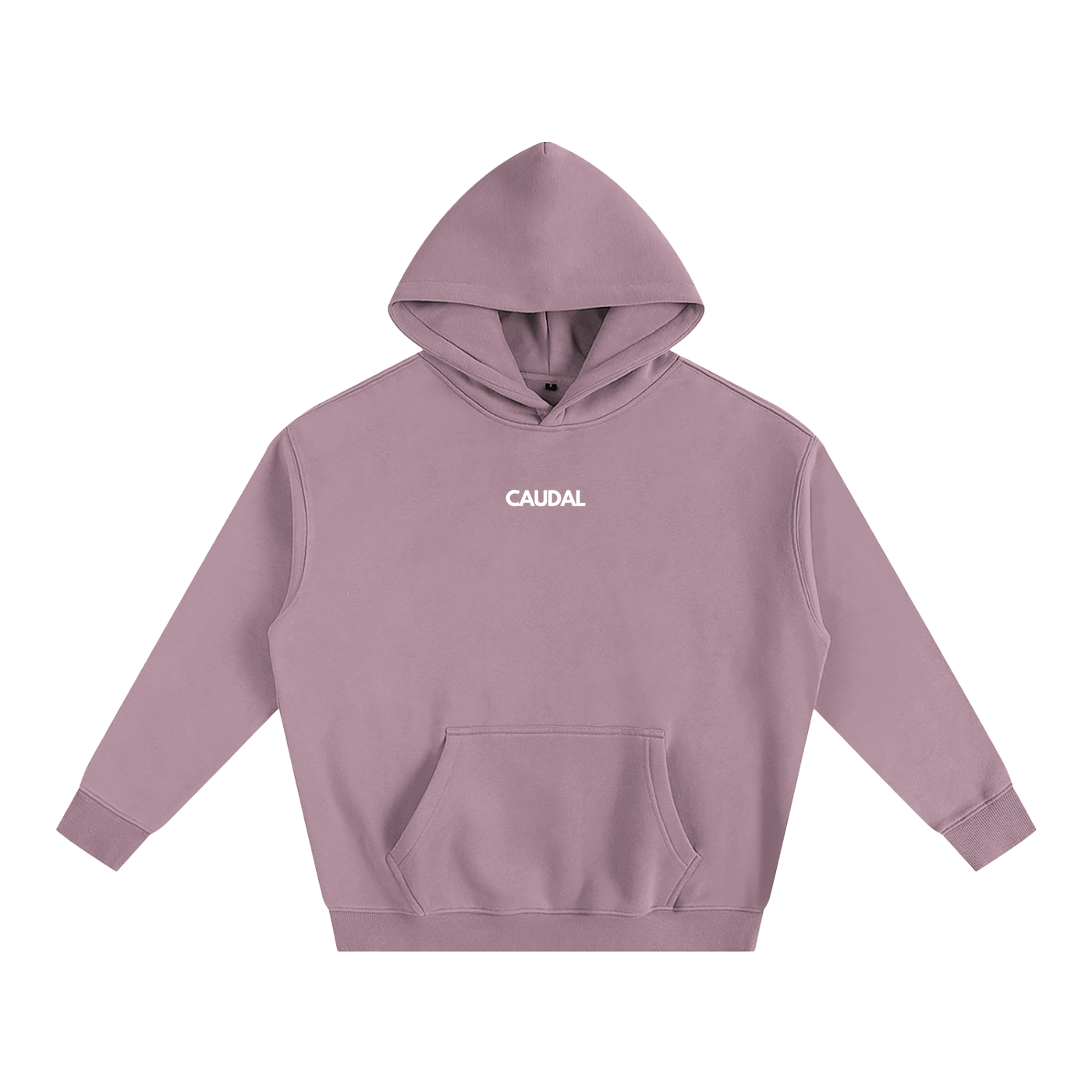 Over-sized Minimal Caudal Hoodie