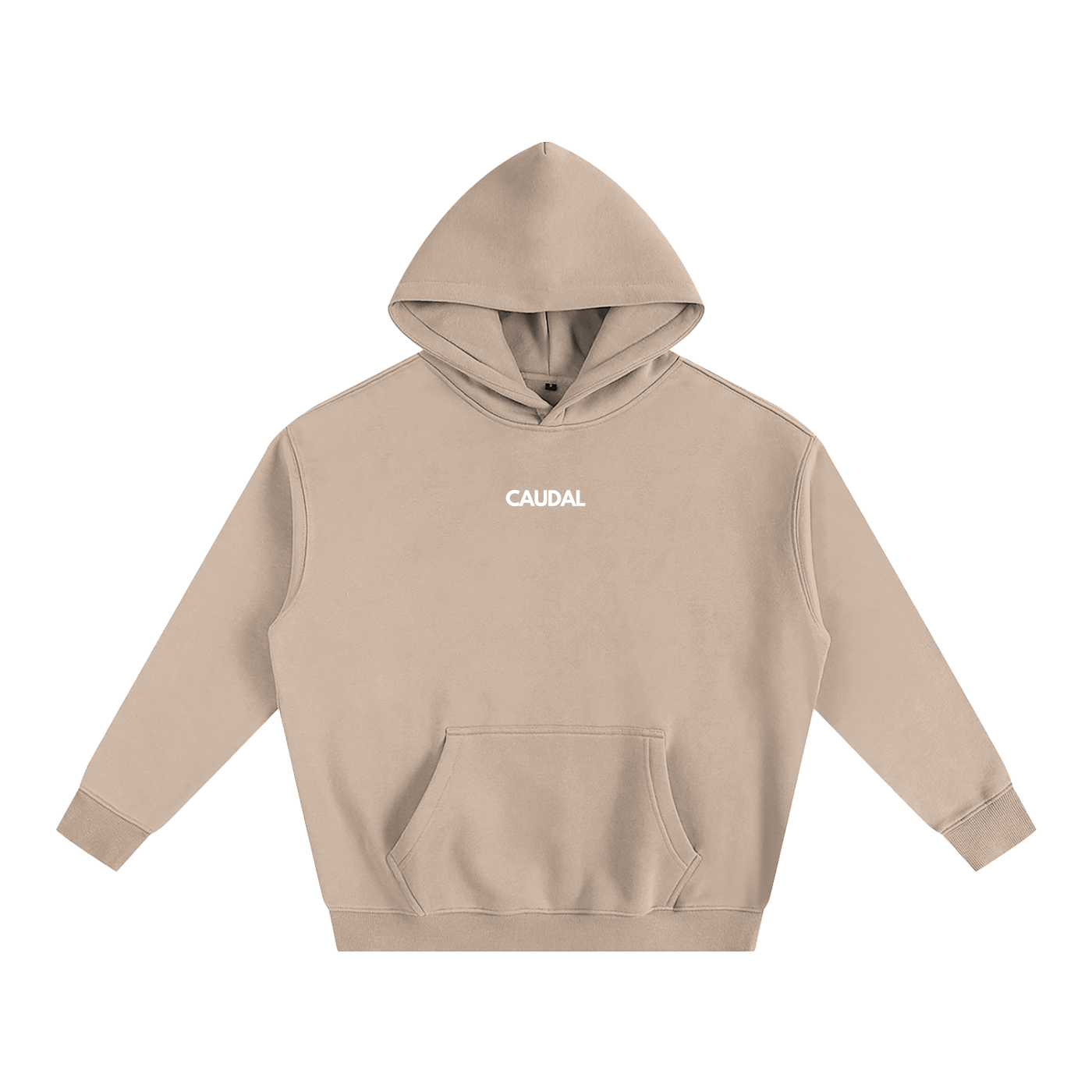 Over-sized Minimal Caudal Hoodie