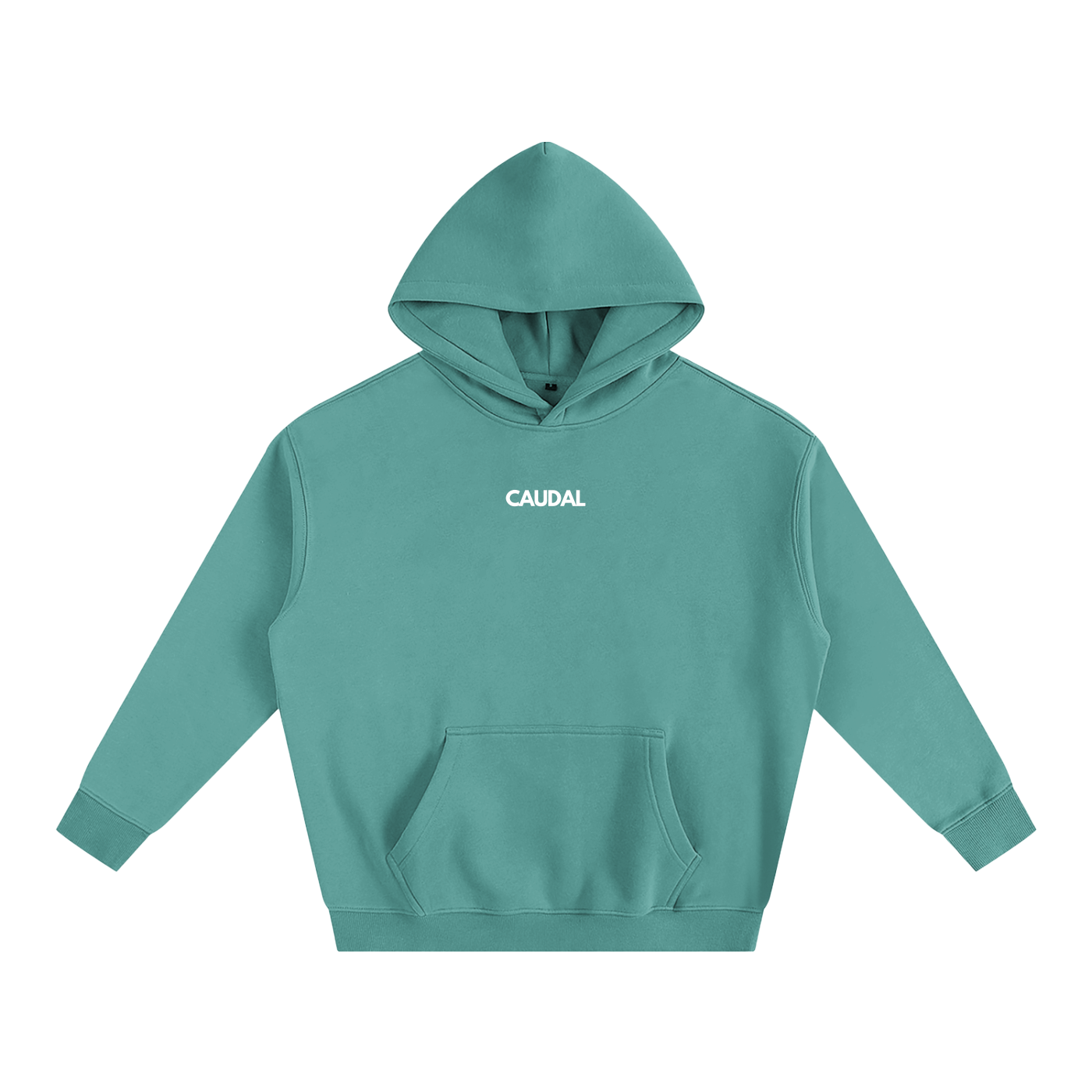 Over-sized Minimal Caudal Hoodie