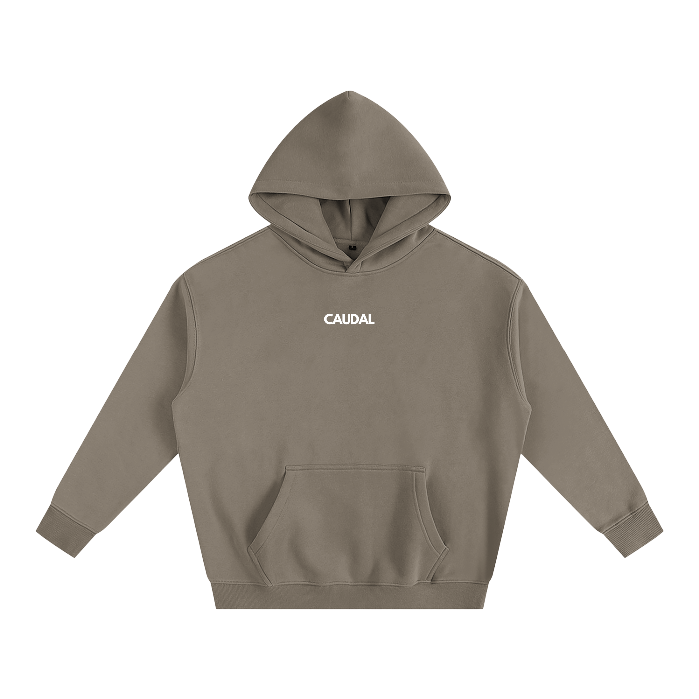 Over-sized Minimal Caudal Hoodie