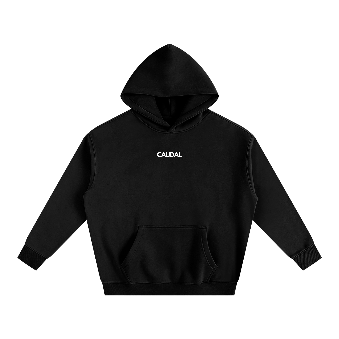 Over-sized Minimal Caudal Hoodie