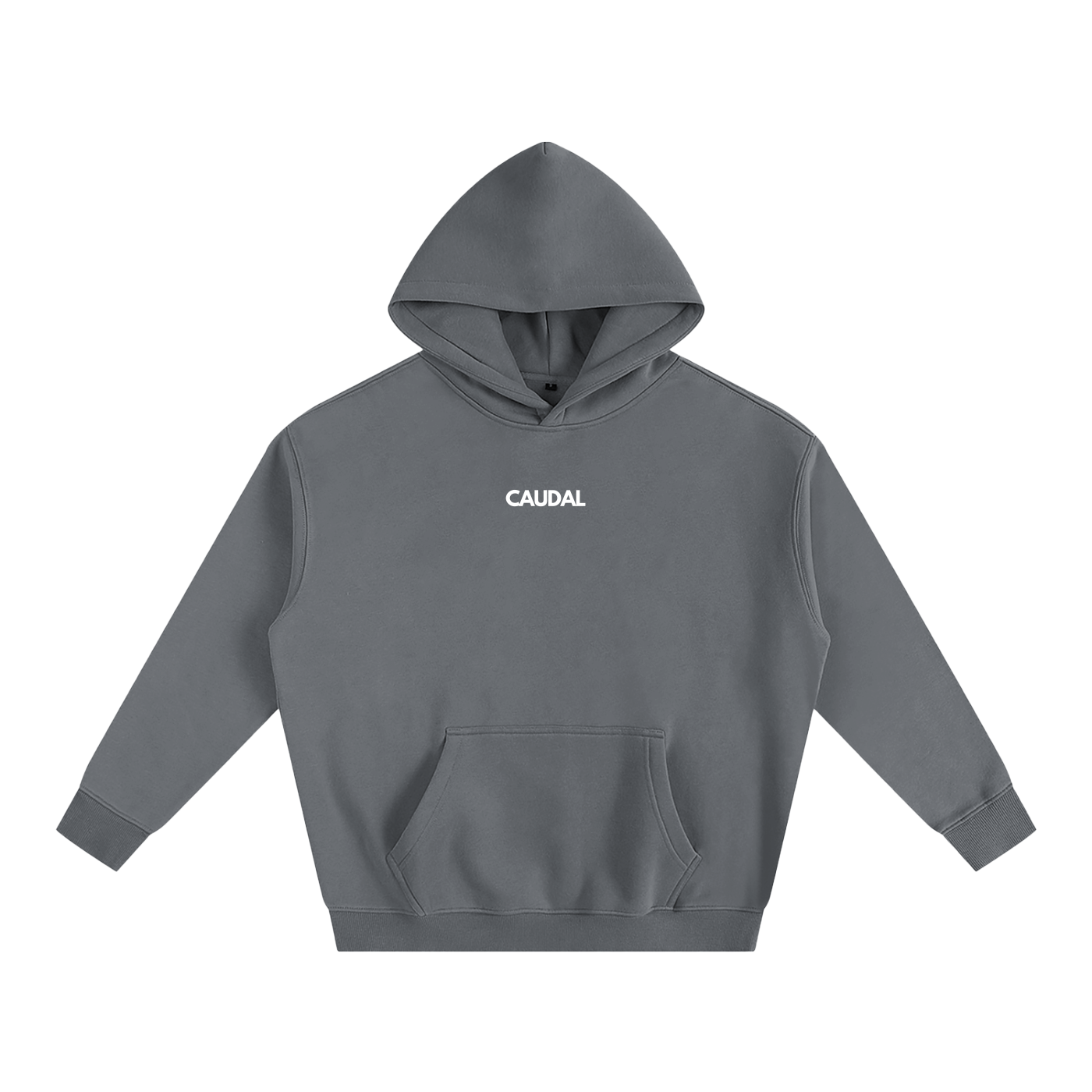 Over-sized Minimal Caudal Hoodie