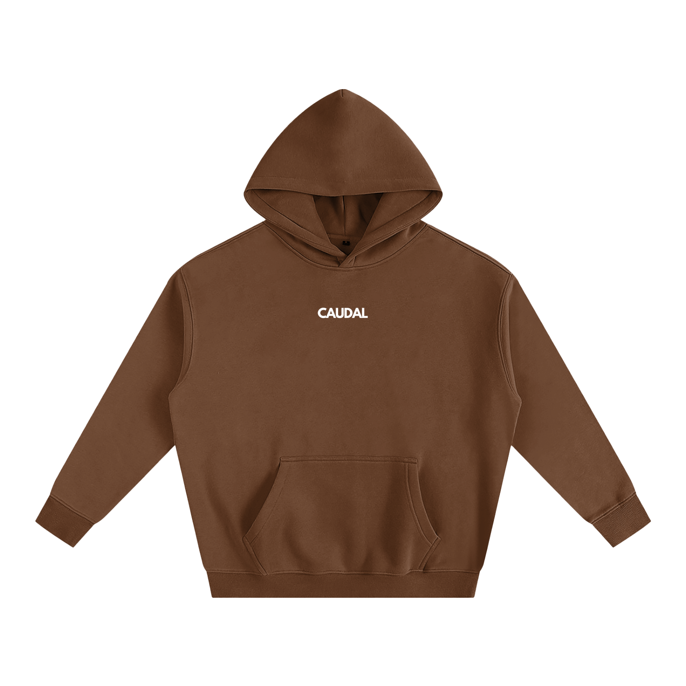 Over-sized Minimal Caudal Hoodie