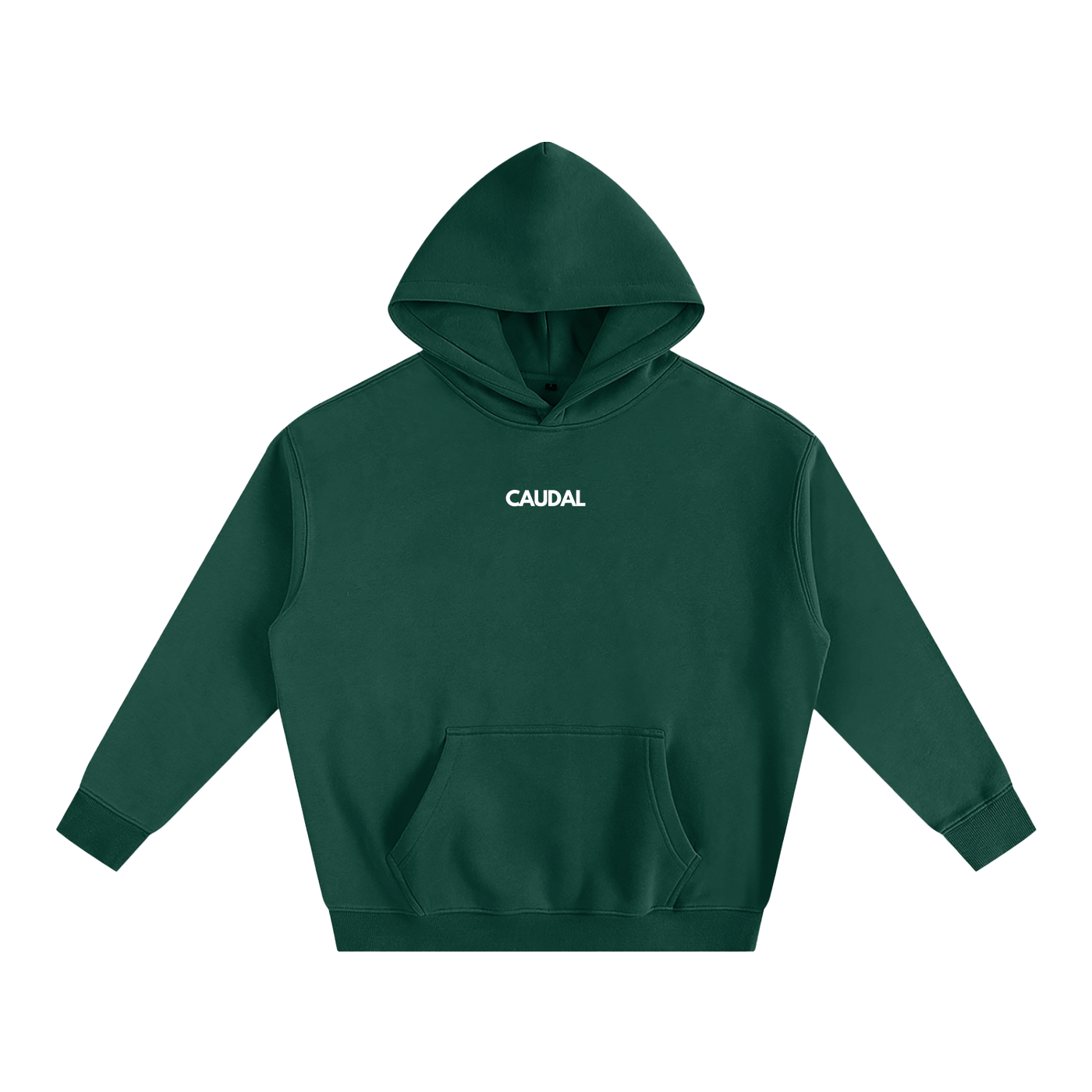 Over-sized Minimal Caudal Hoodie