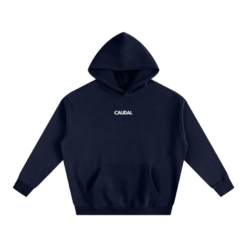 Over-sized Minimal Caudal Hoodie