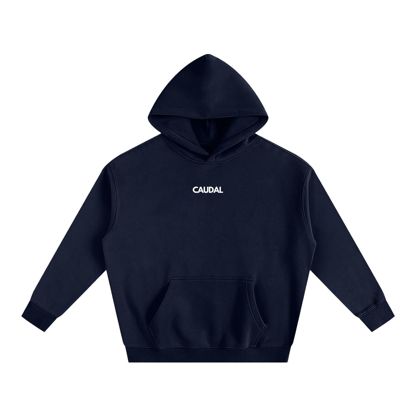 Over-sized Minimal Caudal Hoodie