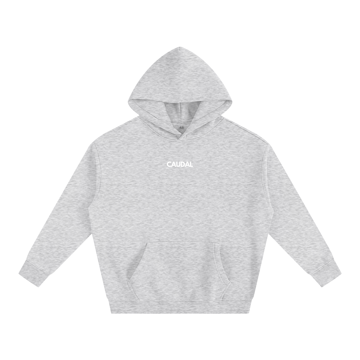Over-sized Minimal Caudal Hoodie