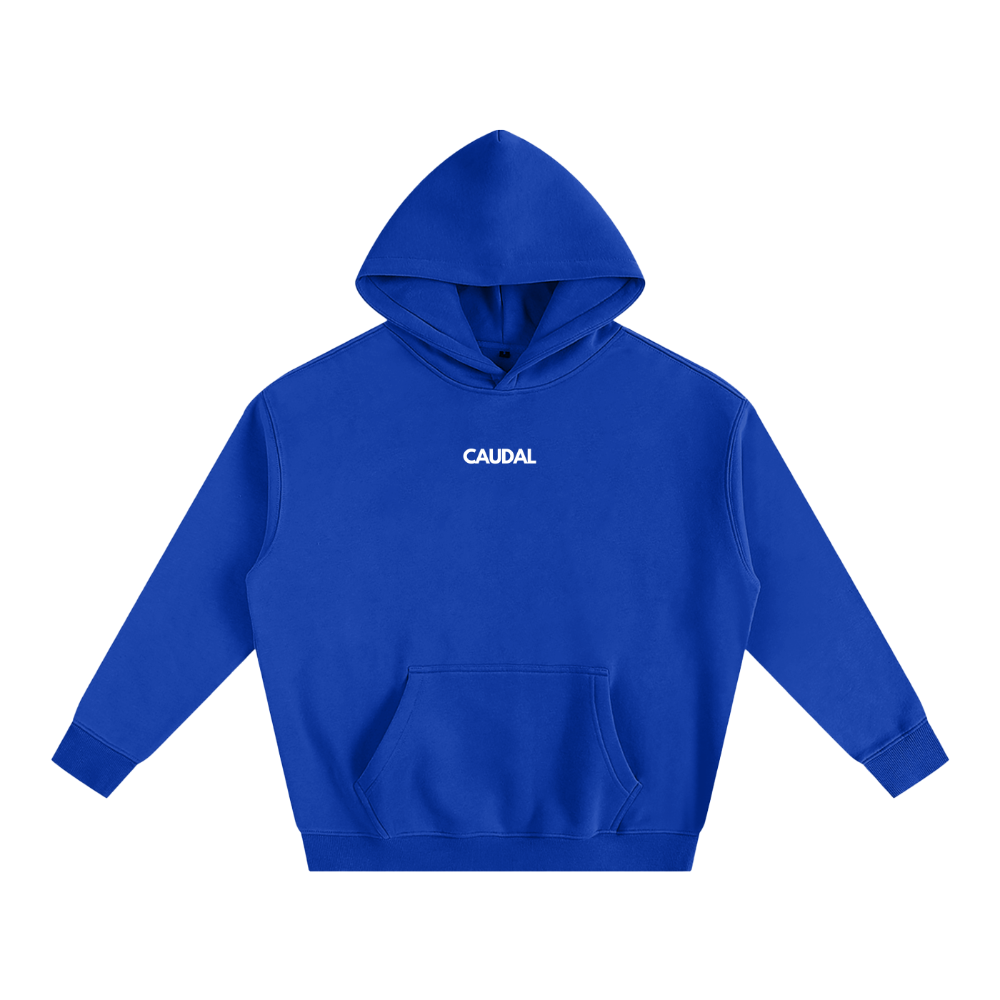 Over-sized Minimal Caudal Hoodie