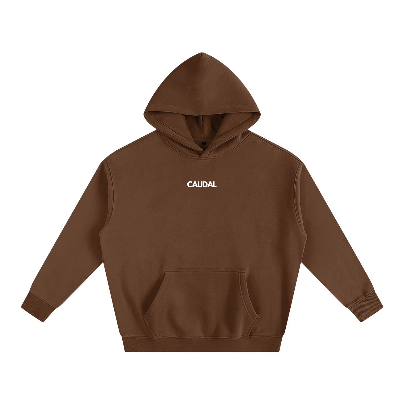 Over-sized Minimal Caudal Hoodie