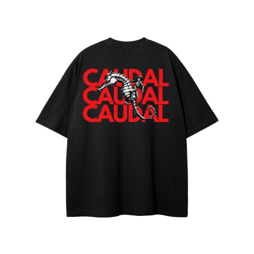 Rodeo Rider T-Shirt
