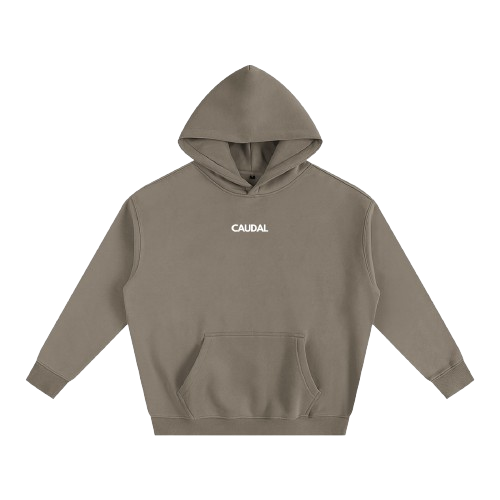 Over-sized Minimal Caudal Hoodie