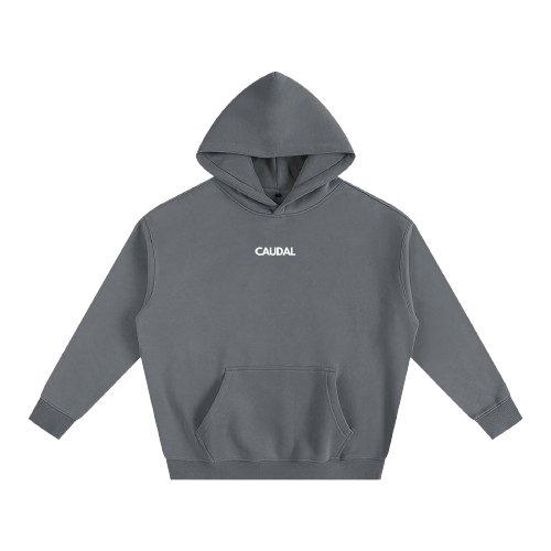 Over-sized Minimal Caudal Hoodie